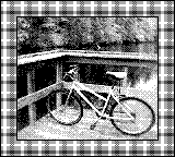 Nintendo Game Boy Camera photo - Bike near river