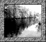 Nintendo Game Boy Camera photo - River