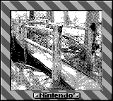 Nintendo Game Boy Camera photo - Bridge