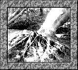 Nintendo Game Boy Camera photo - Tree roots