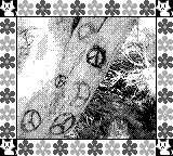 Nintendo Game Boy Camera photo - Graffiti on tree