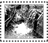 Nintendo Game Boy Camera photo - Waterfall