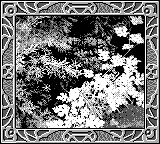 Nintendo Game Boy Camera photo - Leaves and branches