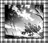 Nintendo Game Boy Camera photo - Sky