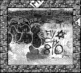Nintendo Game Boy Camera photo - Graffiti