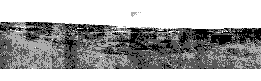 Nintendo Game Boy Camera photo - Landscape panorama