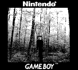 Nintendo Game Boy Camera photo - Rainbow Light Bulb off