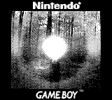 Nintendo Game Boy Camera photo - Rainbow Light Bulb on