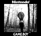 Nintendo Game Boy Camera photo - Black Light Ultraviolet Bulb off