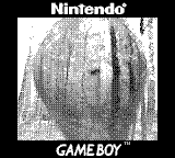 Nintendo Game Boy Camera photo - Black Light Ultraviolet Bulb close-up
