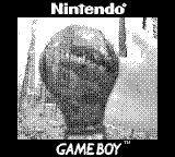 Nintendo Game Boy Camera photo - Black Light Ultraviolet Bulb close-up with hand