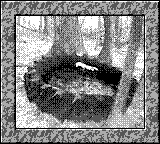 Nintendo Game Boy Camera photo - Tire