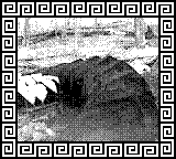 Nintendo Game Boy Camera photo - Tire