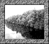 Nintendo Game Boy Camera photo - River