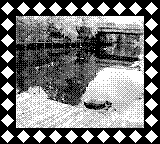 Nintendo Game Boy Camera photo - River