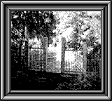 Nintendo Game Boy Camera photo - Bridge