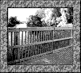 Nintendo Game Boy Camera photo - Bridge