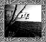 Nintendo Game Boy Camera photo - Lake