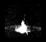 Nintendo Game Boy Camera photo - Fire