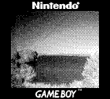 Nintendo Game Boy Camera photo - Lake