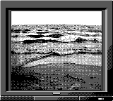 Nintendo Game Boy Camera photo - Lake shore