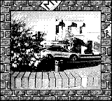 Nintendo Game Boy Camera photo - Road