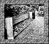 Nintendo Game Boy Camera photo - Bench