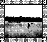Nintendo Game Boy Camera photo - Lake