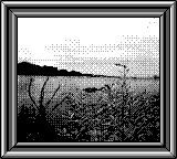 Nintendo Game Boy Camera photo - Lake