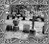 Nintendo Game Boy Camera photo - Cemetary