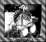 Nintendo Game Boy Camera photo - Christmas decorations