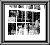 Nintendo Game Boy Camera photo - Dog in window