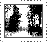 Nintendo Game Boy Camera photo - Snow