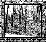 Nintendo Game Boy Camera photo - Snow