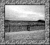 Nintendo Game Boy Camera photo - Lake