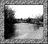 Nintendo Game Boy Camera photo - River