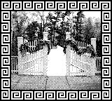 Nintendo Game Boy Camera photo - Bridge