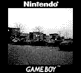 Nintendo Game Boy Camera photo - Meijer