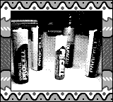 Nintendo Game Boy Camera photo - Batteries