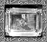 Nintendo Game Boy Camera photo - Picture of dog