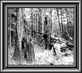 Nintendo Game Boy Camera photo - Tree