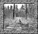 Nintendo Game Boy Camera photo - Boardwalk