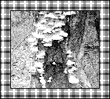 Nintendo Game Boy Camera photo - Tree