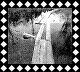 Nintendo Game Boy Camera photo - Boardwalk broke