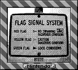 Nintendo Game Boy Camera photo - Flag sign on beach