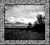 Nintendo Game Boy Camera photo - Beach