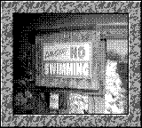 Nintendo Game Boy Camera photo - No swimming sign