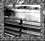 Nintendo Game Boy Camera photo - Boardwalk railing