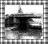 Nintendo Game Boy Camera photo - Bridge