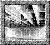 Nintendo Game Boy Camera photo - Under bridge